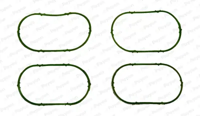 PAYEN JD5893 Renault  Monifolt Contasi 7700109421 372650 13141100 7700108339 PG51028 32883 8200052312 713618200 4409972 4410363