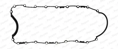PAYEN JH5108 Renault  Karter Contasi 7700103687 71330 713440700 14075500 NotinPayenRange OP9300 OP7314 26345P JH5108 54674