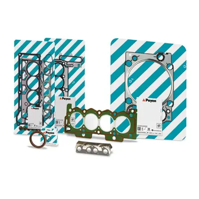 PAYEN DP289 Fiat-Pkw  Üst Takim Contasi 71740362 52187700 D3689100 D36891 23179009 417754P DP289 247270 510941000 2126046300