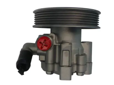 SPIDAN 52721 Hidrolik Direksiyon Pompasi 