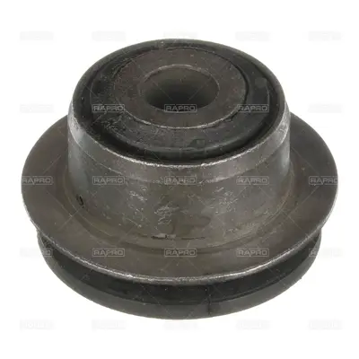 RAPRO R55807 Salincak Burcu A4 95> 01 8D0505171 F87924 17455 2588101 32226 1005050018 1150102100 7700946SX 87378A 2603