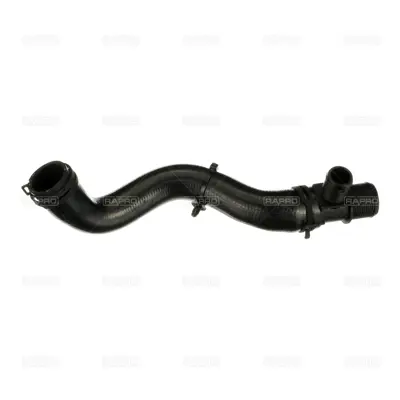 RAPRO R16952 Radyator Alt Hortumu GK218286BF