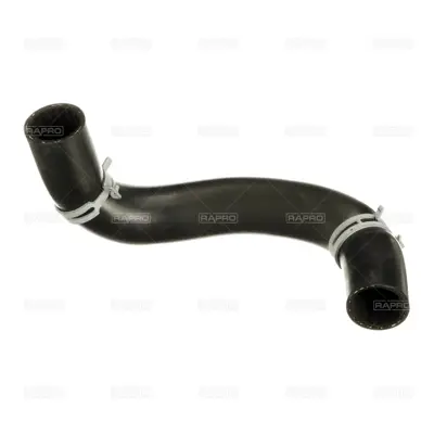 RAPRO R40310 Radyator Alt Hortumu Kia Rio 1.25 Cvvt 11>17 254151W100