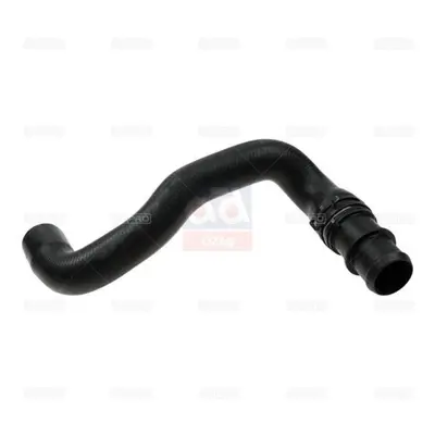 RAPRO 19591 Termostat Hortumu Mini Cooper  17122754221 