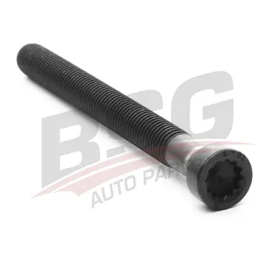BSG 90-230-019 Silindir Kapak Saplamasi WHT002131