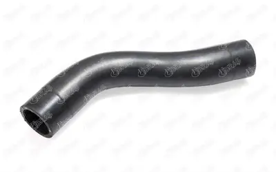 IBRAS 10121 Radyatör Su Hortumu 357121051K