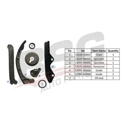 BSG 63-102-001 Eksantrik Zincir Seti 13028AX001