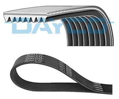 DAYCO 8PK1385HD V Kayisi A9369931396