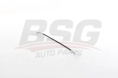 BSG 30-976-010 Bagaj Kapak Telı XM34J21952KC