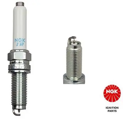 NGK 91512 Buji Vw Audi Seat Skoda 05E905602B