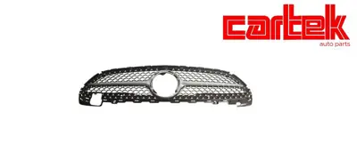 CARTEK TPMRDZW17 Panjur W206 Amg Gumus 2021  A2068804205