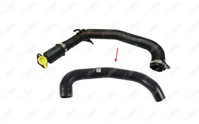 IBRAS  20190 Hortum İntercooler Ford Fiesta 13-Gt 1.0 Ecoboost C1B1 6C646 AC 1868114