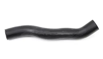 YTT  51016 Radyatör Hortumu Üst Accent 2541125810