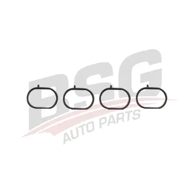 BSG 25-116-009 Manıfold Contası Emme 13144700 46548450 1910748000 JA5008 713568200 X8537201 375230 85372 423059H 3102995800