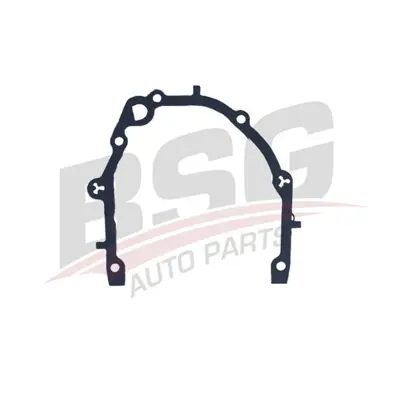 BSG 25-115-096 Yag Pompa Contası 66149955