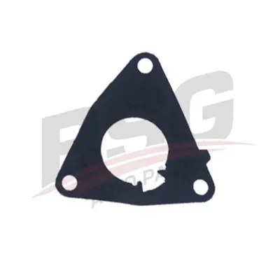 BSG 25-115-047 Vakum Pompa Contası 55192351