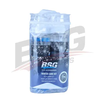 BSG 99-993-006 Kıslık Bakım Seti 