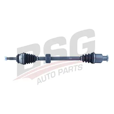 BSG 75-350-054 Aks Komple Ön Sağ DS4193 391008930R 8201045819 391001251R 655638 211023 VKJC8149 DS2233 T5225 7711497475