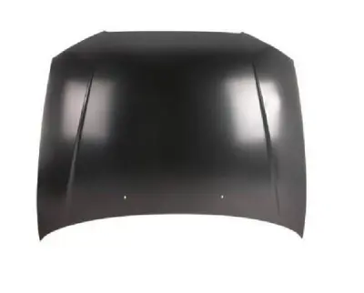 VORTEX V1504060 Motor Kaputu Accent 00> 6640025020