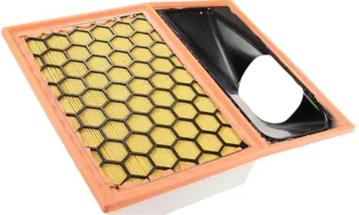 BSG 42-135-001 Hava Filtresi 5801317097