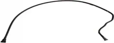 BSG 75-725-065 Yakit Borusu 175106570R