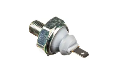 BSG 90-840-096 Yag Basinç Müsürü 038919081A