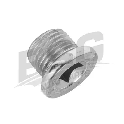 BSG 75-122-026 Yag Karter Tapasi 7703075152