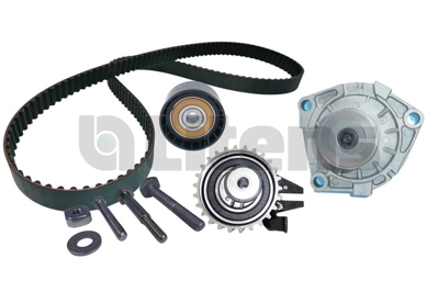 LITENS LTW979872A Eksantrik Rulman Kiti Devirdaimli Insignia Zafira 2.0cdti 6000629056