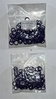 WAGNER BL4016013WO Klima Oring Set 100 Parça 10.8-2.4 
