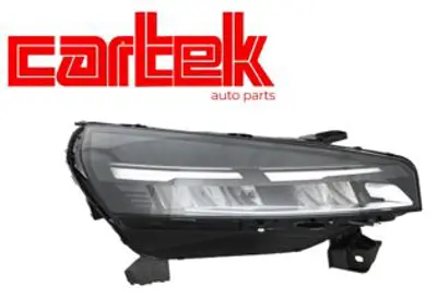 CARTEK RNTPCLIO5R Sag Far Clio V 23> 260103507R
