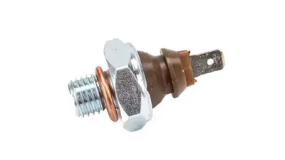 BSG 15-840-054 Yag Basinç Müsürü 61311243414