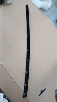 RAPRO R62204 +on Kapı Cam Sıyırıcı Profıl Sol Floklu +++++ıptal 