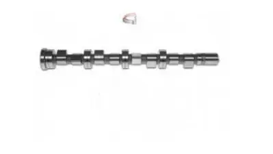 İthal 12402 Eksantrik Mili Ducato 2.3 16v Emme-In. (Fpt ) (Çel... 504096185 504006993 504006995 504096183 801FX 801FN 647273K 93120000 50007031 647273