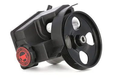 BSG 70-355-009 Direksiyon Pompasi 4007.C2