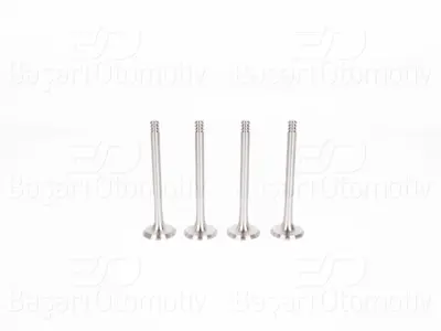 WINPOWER 1113056-11 Subap Egzost 8 Mm 4 Lu Set 1113056-11