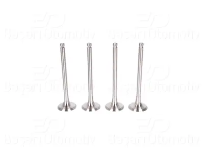 WINPOWER 2113039-11 Subap Egzost 7 Mm 4 Lu Set 2113039-11