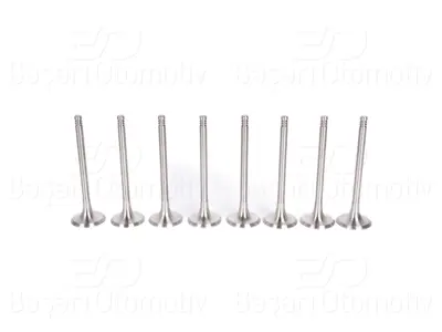 WINPOWER 2113050-11 Subap Egzost 6 Mm 8 Li Set 2113050-11