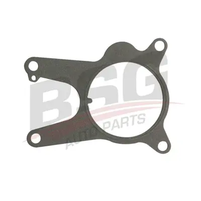 BSG 25-115-075 Vakum Pompa Contası 71779194