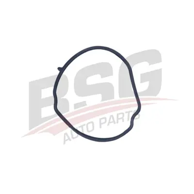 BSG 25-116-015 Motor Yag Kapak Contası 68100291AA 55212608 384570