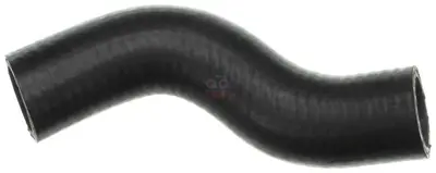 RAPRO 19470 Radyator Hortumu Alt 02-07 Mini Cooper 19470 17127559476