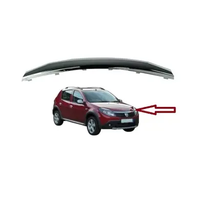 OEM 8200763573 8200763573 Panjur Üst Çitasi Krom Sandero-Stepway 8200763573 RN07048MA 1305991 DA2202206 1001419 6502071302991P 1506514 4455041 3500207C DA2222226