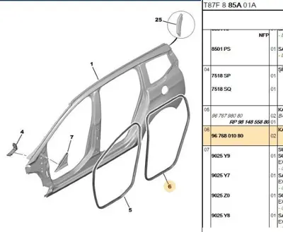 PSA 9676801080 Arka Kapı Lastiği 9676801080