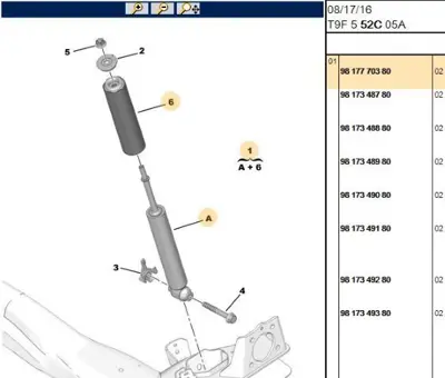 PSA 9817770380 Arka Amortisör 9817770380 9807259480 9817404880 9809839480 9812448180 9813064580