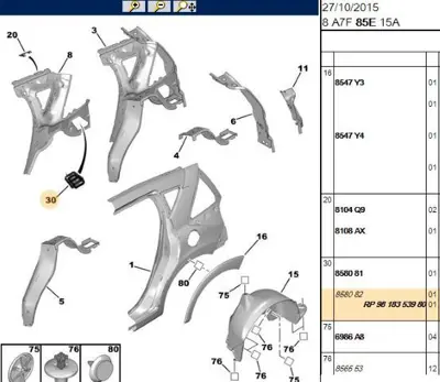 PSA 9818353980 Izolator 9818353980