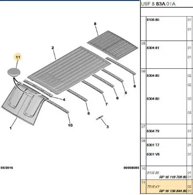 PSA 1613684480 Tavan Sacı Plastik Tapa 1613684480