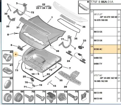 PSA 8338.AC Bagaj Kapak İç Bakaliti 8338.AC