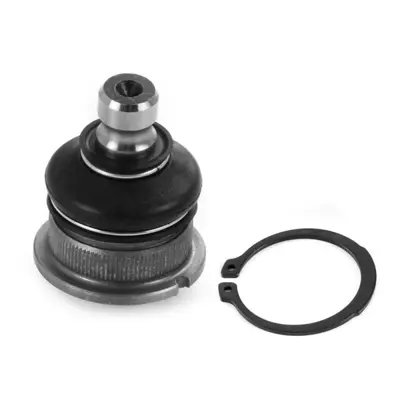 AYD 92-05633 Rotil Alt Nissan Micra 2003>2010 (K12 Kasa) 1060230023 106420 14588301 16744AP 18BJ198 3529302 36160100044 4040300300 404298 45734B 4704365 51283 59075042234 6040135517 617700589 850014530 92NS05633 9302385 931305633 A24508 BBJ5452 C1202LR CBJ7103 CBN78 CX9233 D628 FBJ5452 J11036YMT J4861038 JBJ723 KBJ5452 L14530 N420N71 N429 NIBJ2792 NSB50870 QSJ3312S RS10542 SBJ6505 SBN162 SS2352 SSB107811 TC1306