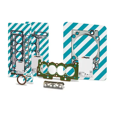 PAYEN RAH8060 Silindir Kapak Contasi Partner Berlingo Expert Jumpy 1.9 Dw8 Dw8b Sac 1,34 (2 Delik) 