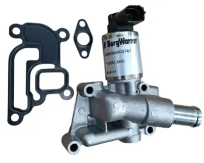 BORGWARNER 710831D Egr Valfi (Astra-H - Corsa-D Z14xep) 5851057pie 55556720 72287512 9157671 ERV049 892038 83701 5851057 458039 722875160 T493038