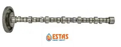 ESTAŞ 33124 Eksantrik Mılı Dıslılı Mb Actros Om502 La 5420501201 A5420501201